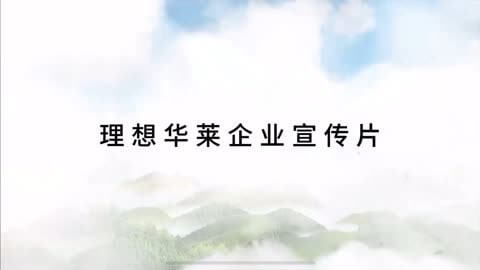 中国能源安全形势分析报告